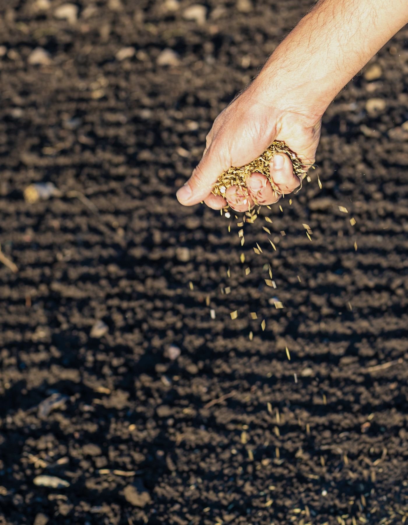 Fertilizers & Agricultural Inputs